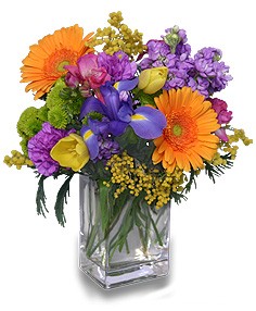 Simply Remarkable Gift Flowers in Charlottetown, PE | Hearts and Flowers Simply Remarkable Gift Flowers in Charlottetown, PE | Hearts and Flowers
