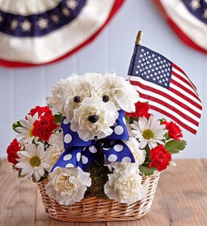 Yankee Doodle Doggie in Valley City, OH | HILL HAVEN FLORIST & GREENHOUSE Yankee Doodle Doggie in Valley City, OH | HILL HAVEN FLORIST & GREENHOUSE