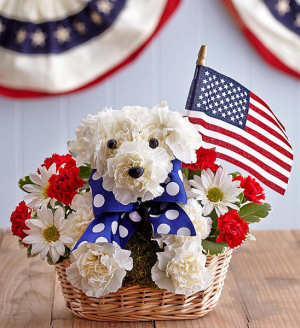 Yankee Doodle Doggie Memorial Day SPECIAL!!! - Local Only in Sunrise, FL | FLORIST24HRS.COM Yankee Doodle Doggie Memorial Day SPECIAL!!! - Local Only in Sunrise, FL | FLORIST24HRS.COM