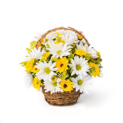 daisies in a basket 