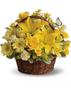 Yellow Basket Basket Arrangement in Ambler, PA | Flowers By Veronica, Inc.