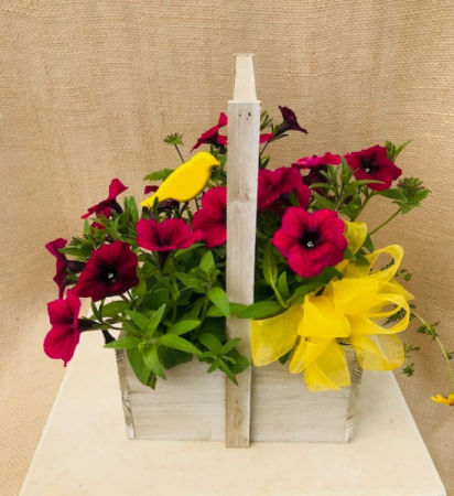 Yellow Bird's Garden Basket Planter Basket