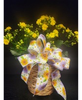 Yellow Blooming Plant 