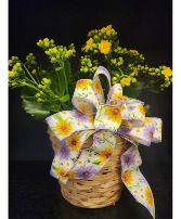 Yellow Blooming Spring Basket