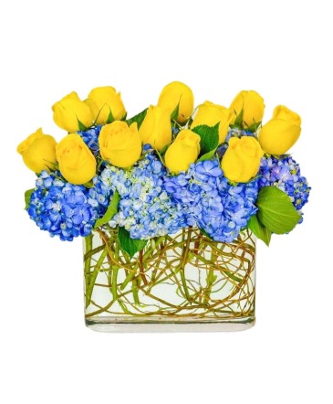 Yellow Blues  in Frederick, MD | Maryland Florals