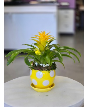 Yellow Bromeliad, 4057 