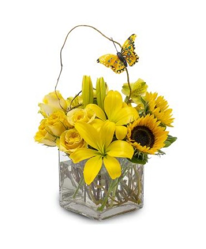 Yellow Butterfly Cube Fresh flowers