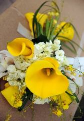 Yellow Callas - Closeup  (Todd Rundstrom - Image Factory Photography) 