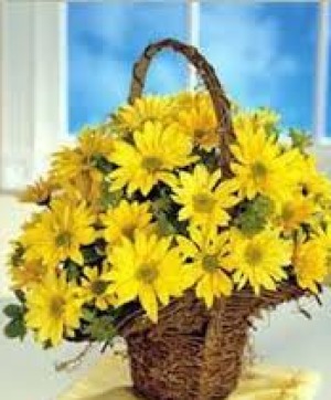 Yellow Daisy Basket  