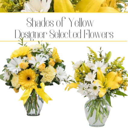 Yellow--Designer’s Choice