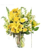 Yellow designers choice 