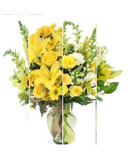 Yellow designers choice