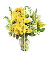 Yellow Designer’s Choice 