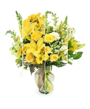Yellow Designer’s Choice 