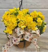 Yellow Double Bloom begonia  Handing Basket 