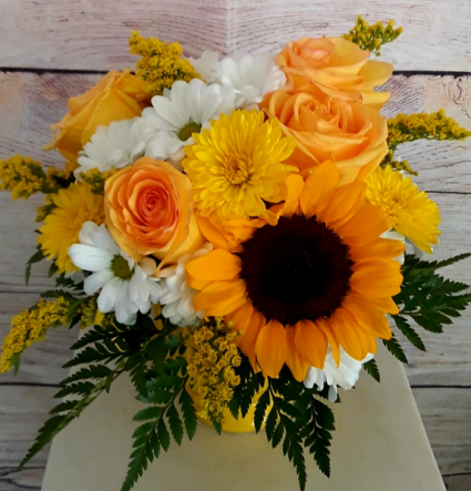 Yellow Hapiness