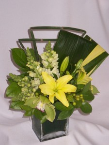 YELLOW HONEY- Highlight The Flowers Get Well Flowers Prince George BC: AMAPOLA BLOSSOMS FLOWERS ROSES GIFTS