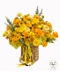 YELLOW LOVE  