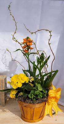 Yellow Mellow Plant Basket