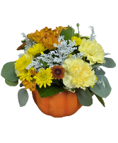 Yellow, Mellow Pumpkin Fresh arrangement