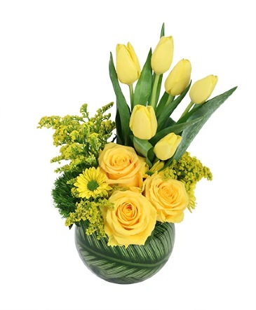 Yellow Optimism Flower Arrangement in Storrs, CT | STIX 'N' STONES