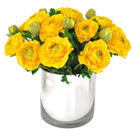 Yellow ranunculus  Spring flower 