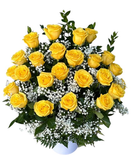 Yellow Rosas 