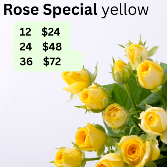 Yellow Rose Special 
