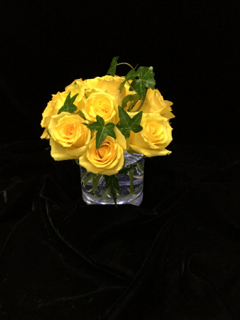 Yellow Roses