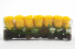 Yellow Roses  