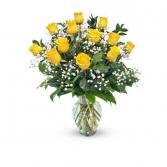 Yellow Roses 