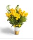  yellow roses  