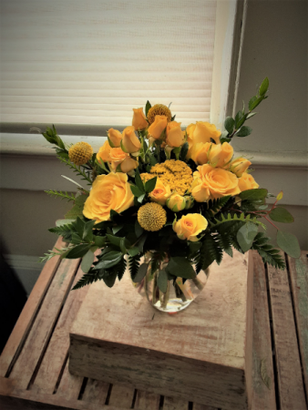 Yellow roses on my 