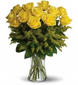 Yellow Roses Roses