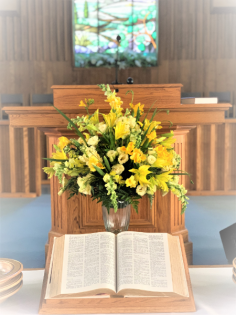 Category Image