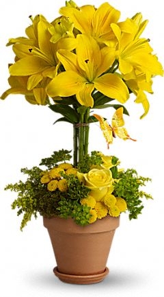 Yellow Sunshine Sunny day arrangement