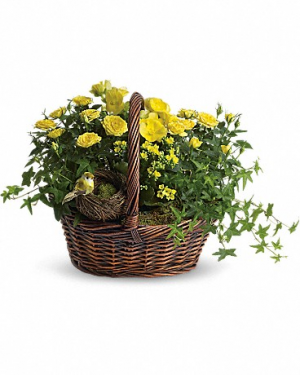 Yellow Trio Basket Basket Flower