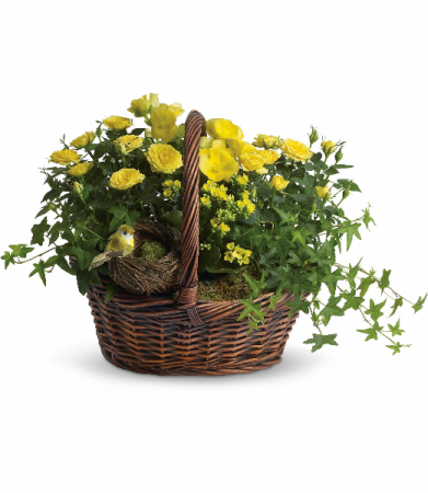 Yellow Trio Basket H941A