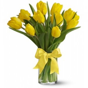           Yellow Tulips                        