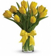 YELLOW TULIPS 