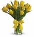 YELLOW TULIPS 