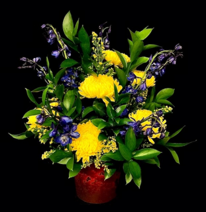 Yes Ma'am Yellow and Blue Design