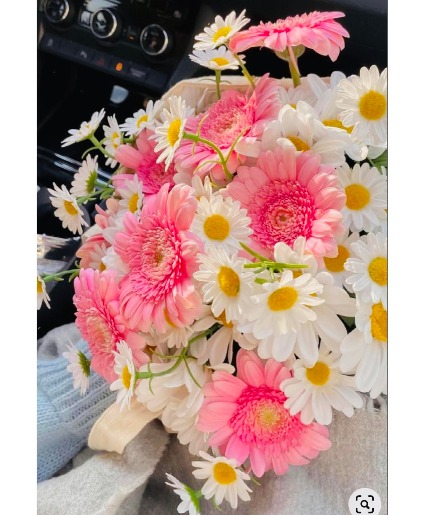 Yes My Darling! Gerberas daisies in wrapp