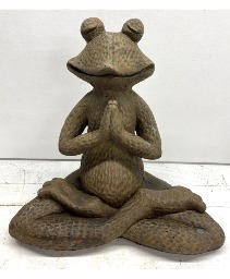 Yoga Frog 