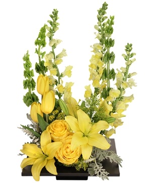 YOLO Yellow Arrangement in Janesville, WI | BARB'S ALL SEASONS FLOWERS