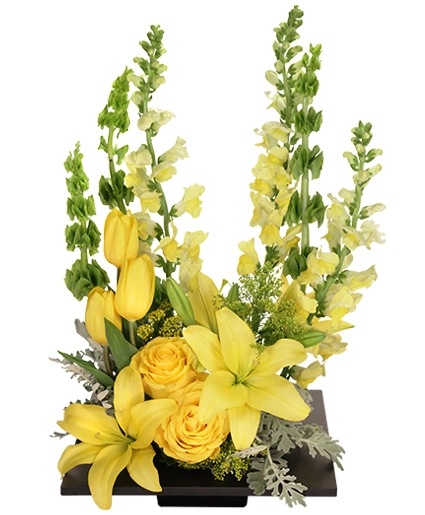 YOLO Yellow Arrangement