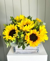 You Are My Sunflower 