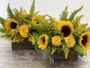 you are my sunshine one arrangement