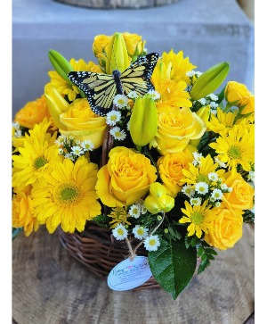 You are my Sunshine! all yellow flowers 