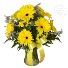 Purchase this funeral home arrangement